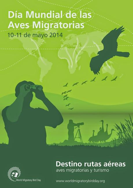 10-11 de mayo: Día Mundial de las Aves Migratorias