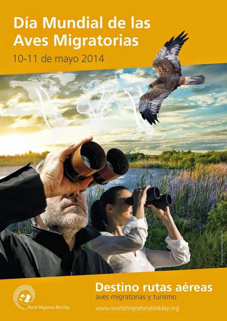 10-11 de mayo: Día Mundial de las Aves Migratorias