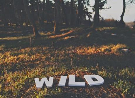 TO THE WILD EN LAS REDES SOCIALES TO THE WILD EN LAS REDES SOCIALES