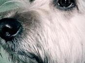 Dime presumes... Capturando Inocencia capturing Innocence