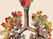 Bedelgeuse. feliz primavera