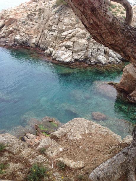 Una visita a Gerona, parando a comer en Can Xifra.