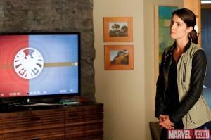 Primer clip de Agents of S.H.I.E.L.D. 1×20 – Nothing Personal Agents of S.H.I.E.L.D. 1x20 - Nothing Personal