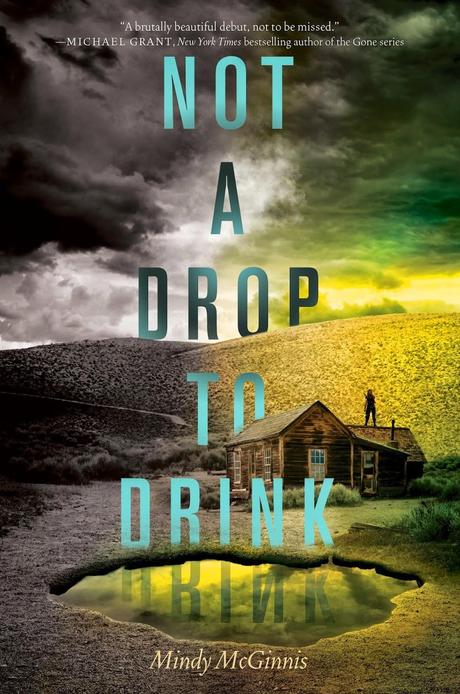 Not a Drop to Drink de Mindy McGinnis podría ser adaptado al cine por Stephenie Meyer