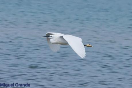 POR EL DELTA DEL EBRO PRIMER DIA