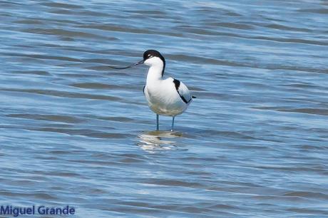 POR EL DELTA DEL EBRO PRIMER DIA