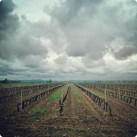 TIERRAS DE LA RIOJA