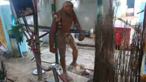 N'Djamena_jardin_Toumaï_large