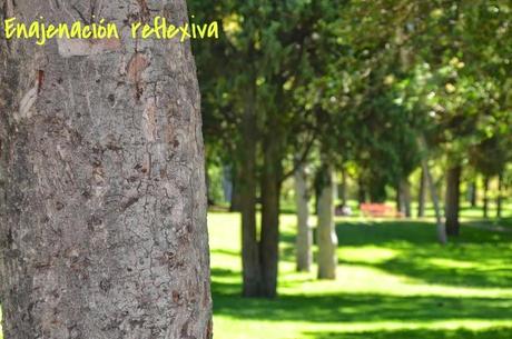 ¡Quiero conocer tu blog! | Enajenación reflexiva