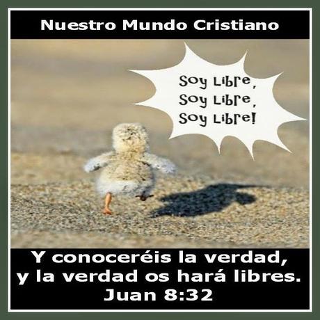 La verdad que nos hace libres