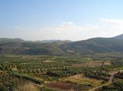 razones para apostar agricultura ecológica