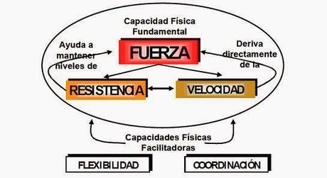 Rutina de fuerza VS Rutina de hipertrofia.