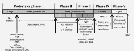 ¿Es posible perder 2 kg en 4 días?