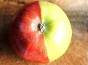 manzana mitad roja verde