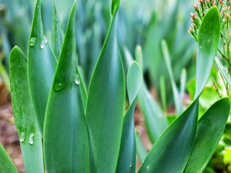 Primeras fotografías