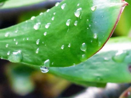 Primeras fotografías