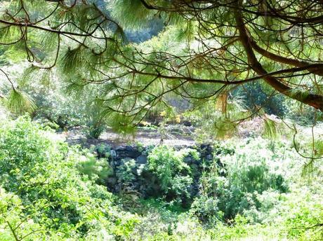 Primeras fotografías