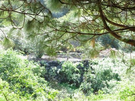 Primeras fotografías