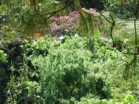 Primeras fotografías