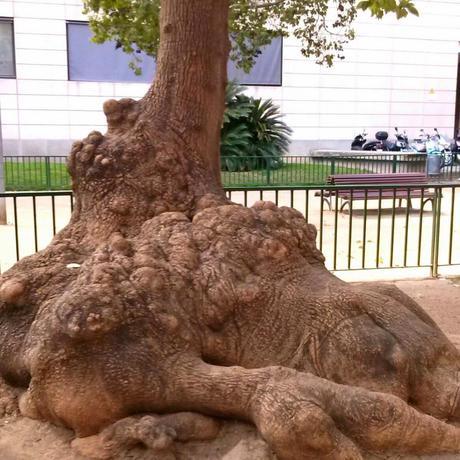 Marzo instagramizado