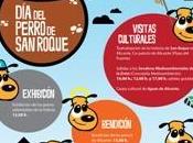 Perro Roque