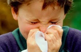 rinitis 1 Rinitis alérgica en primavera y lavados nasales con  agua de mar