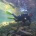 Buceo en la Isla de las Gallinas en San Carlos de Bariloche.