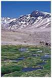 Los Andes Centrales corresponden a los picos más elevados de la Cordillera de los Andes.