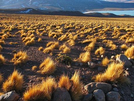 Las bellezas de la Puna un desafío de la naturaleza y de la montaña.