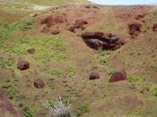 bellezas Puna desafío naturaleza montaña.