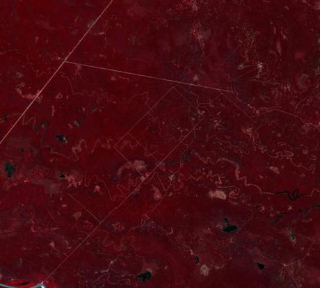 agricultura en formosa_800