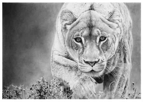 Hyper Realistic Pencil Drawings by Italian Artist Franco Clun.