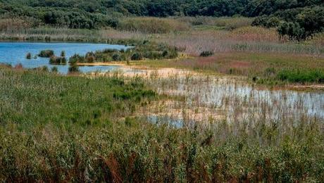 Lago Preola un tesoro escondido para proteger, mejorar y promover.