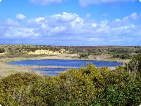 Lago Preola un tesoro escondido para proteger, mejorar y promover.