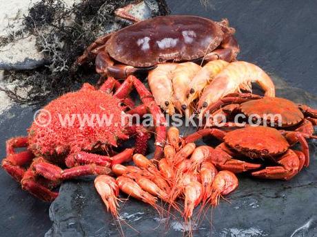 Propiedades nutritivas del marisco