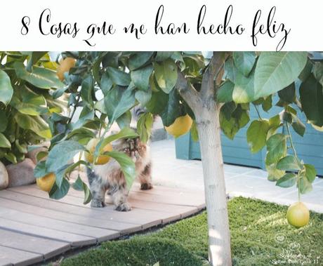 this week im happy for...