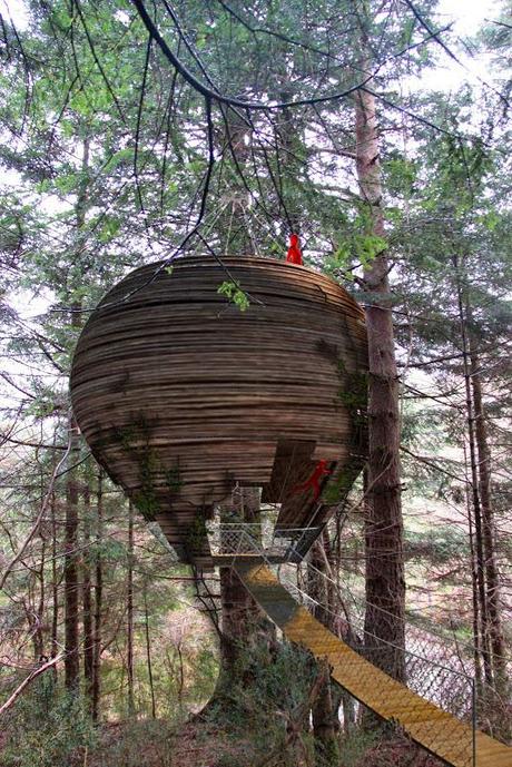 Casa en el árbol hotel