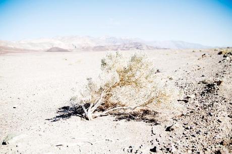 Death_Valley-Road_Trip-Urban_Outfitters-Levis-Braid-Hairdo-Collagevintage-33