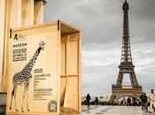 parque zoológico París crea estupenda acción street marketing para conseguir visitantes.
