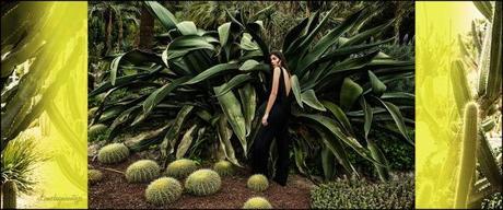 COLECCIÓN STRADIVARIUS VERANO 2014 13