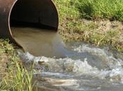 desarrollo sostenible: orígenes