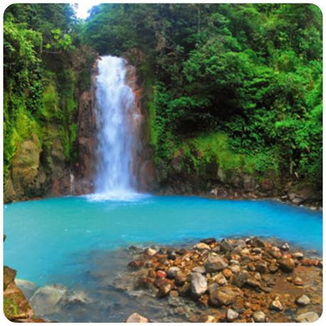 COSTA RICA: SUS RANAS Y SU CASADO - UN VIAJE AL JARDÍN DEL EDÉN