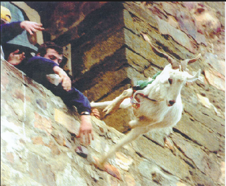 ¿Qué partidos se presentan a las elecciones europeas?