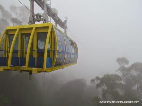 Sydney; Featherdale Wildlife Park y las Montañas Azules