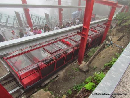 Sydney; Featherdale Wildlife Park y las Montañas Azules