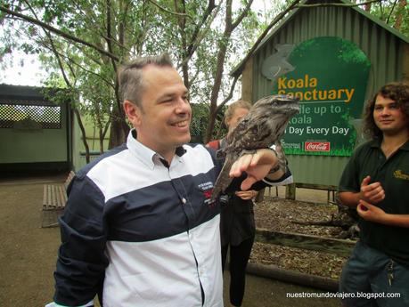 Sydney; Featherdale Wildlife Park y las Montañas Azules