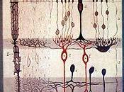 Microrrelatos científicos