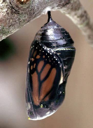 Comienza con pequeños cambios