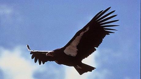 Un problema de eduación