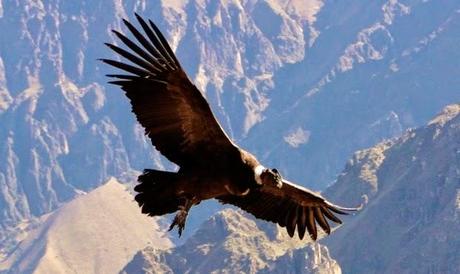 Un problema de eduación